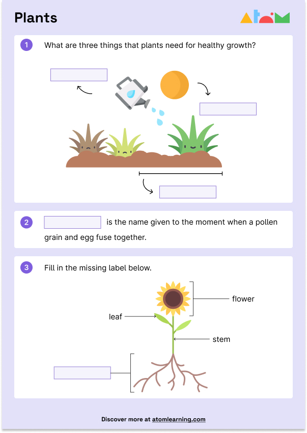 Free Key Stage 2 worksheets